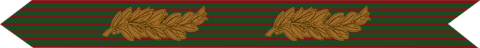 United States Marine Corps French Croix De Guerre Campaign Streamer with two palms